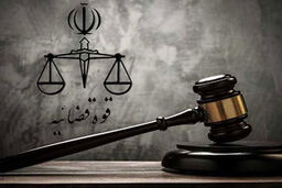 فساد میلیاردی یکی از شرکت های معدنی | شرکت معروف در صنف معادن، دادگاهی شد