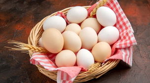 قیمت تخم مرغ منفجر شد | قیمت هر شونه تخم مرغ چند؟