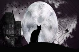 روانشناسی شخصیت | افلیج‌ها را بشناس !