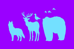 روانشناسی شخصیت | قدرت حیون درون‌ات را بشناس ! 