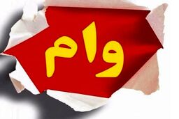 با کارت یارانه یکروزه وام بگیرید | پرداخت وام 300 میلیونی برای متقاضیان وام بدون ضامن