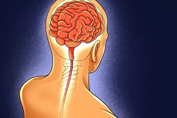 کاهش وزن چگونه بر مغز تاثیر می‌گذارد؟