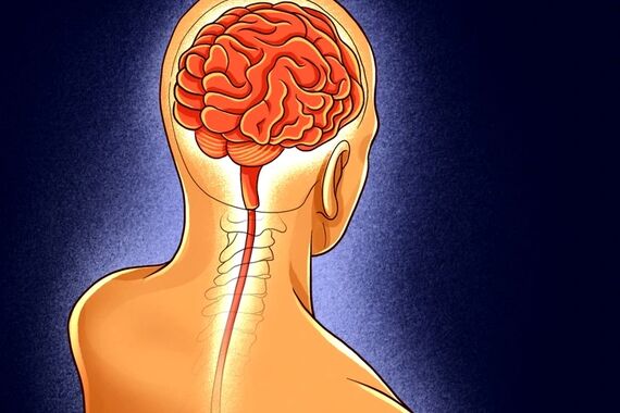 کاهش وزن چگونه بر مغز تاثیر می‌گذارد؟