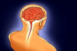 فرماندهی روده به مغز !