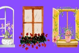 تست شخصیت‌شناسی ، یک پنجره را انتخاب کنید
