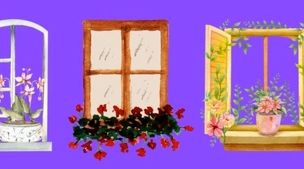 تست شخصیت‌شناسی ، یک پنجره را انتخاب کنید