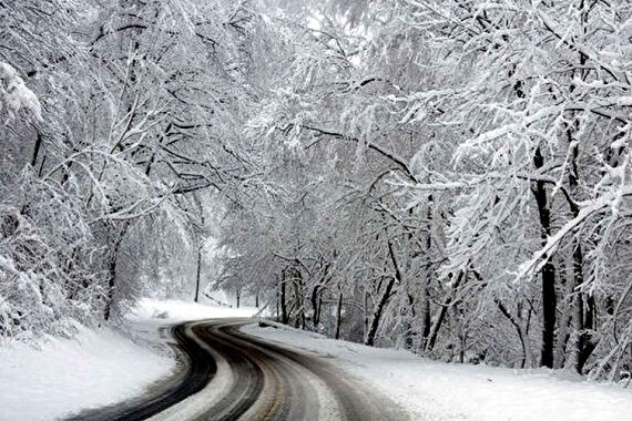 جاده چالوس سفید پوش شد+فیلم