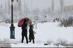 آژیر بنفش هواشناسی؛ آغاز یخبندان قطبی بی‌سابقه تهران از امروز | تهرانی‌ها زیر کولاک، برف و یخ  