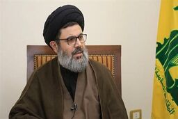 بیوگرافی سیدهاشم صفی الدین