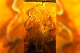 روانشناسی شخصیت | موج‌سوارها را در زندگی‌ات اینجوری بشناس !