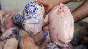 قیمت مرغ همه را به زانو درآورد | قیمت مرغ گرم امروز 10مرداد 1402