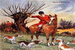 تست هوش | مخفیگاه روباره سگ‌صفت را پیدا کن !