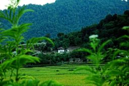 خطر در کمین گیلانی ها | گیلان در آماده‌باش 