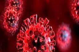 آمار جهانی کرونا؛ آمریکا، هند و فرانسه همچنان در بالای جدول مبتلایان